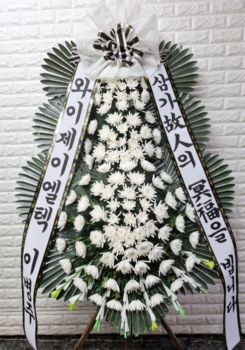 ST-FB233