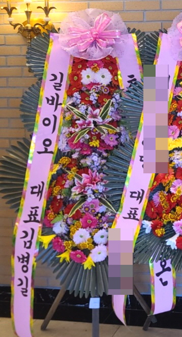ST-FA248