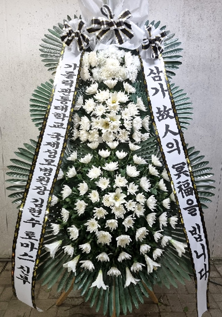 ST-FB226