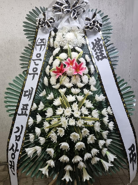 ST-FB141