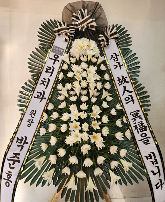 ST-FB233
