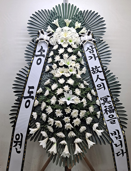 ST-FB233