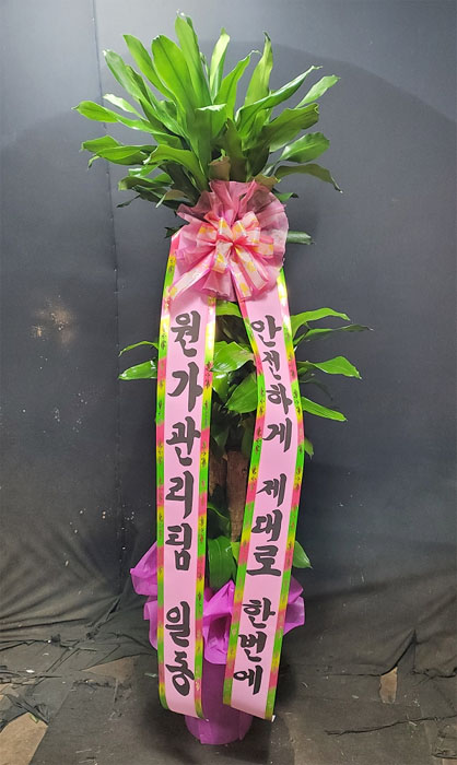 ST-D103
