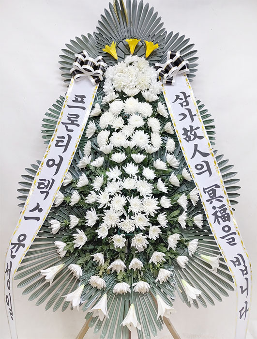 ST-FB162
