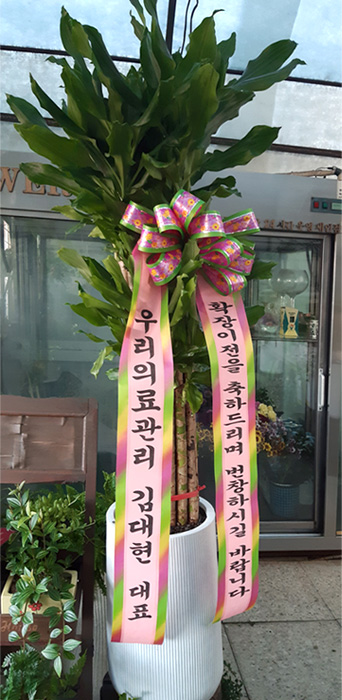 ST-D578