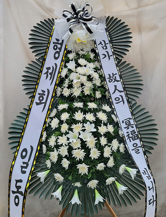ST-FB162