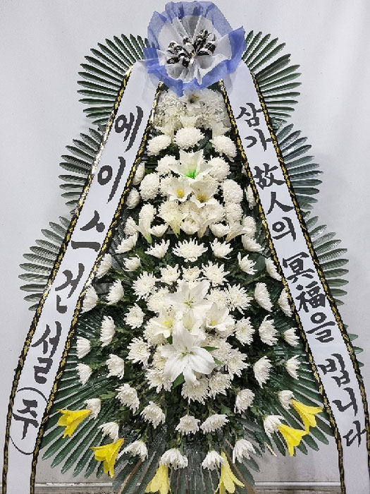ST-FB226