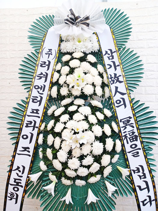 ST-FB226