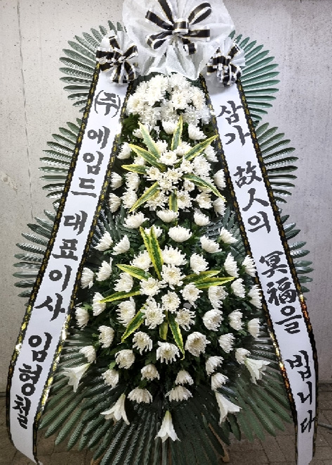 ST-FB226