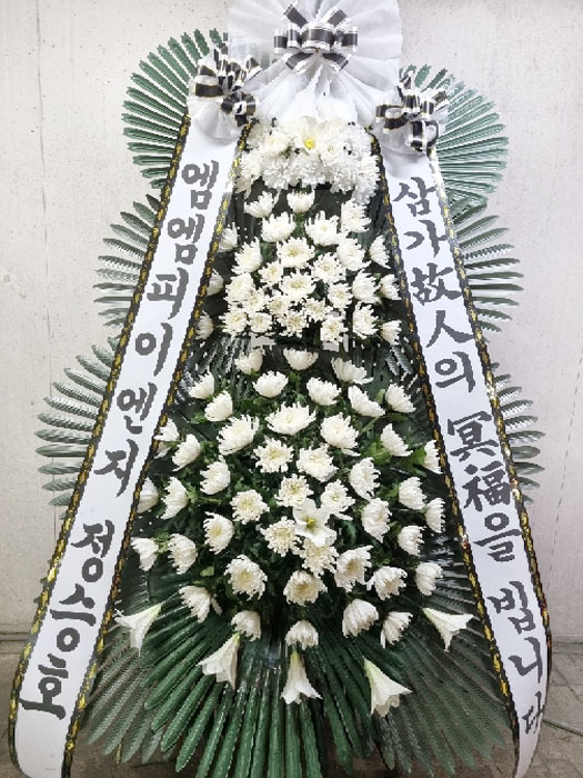 ST-FB162