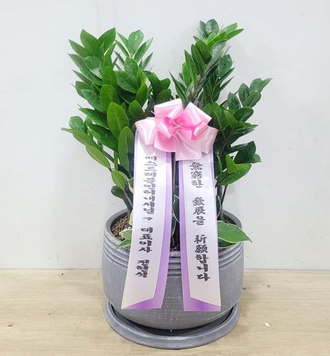 ST-D510