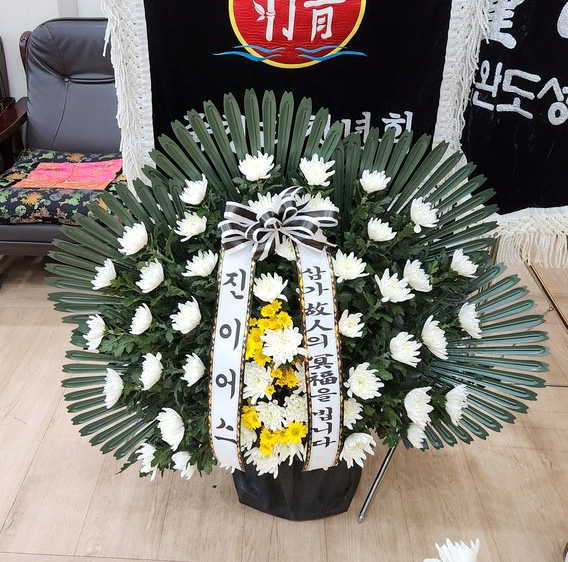 ST-FB233