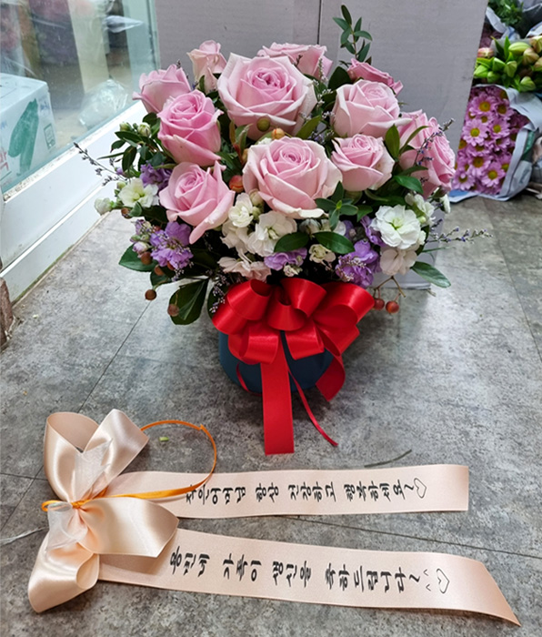 ST-B494