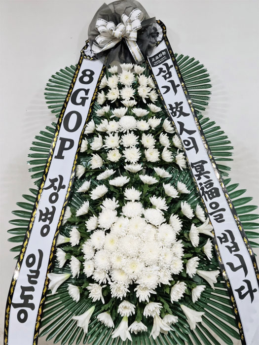 ST-FB226