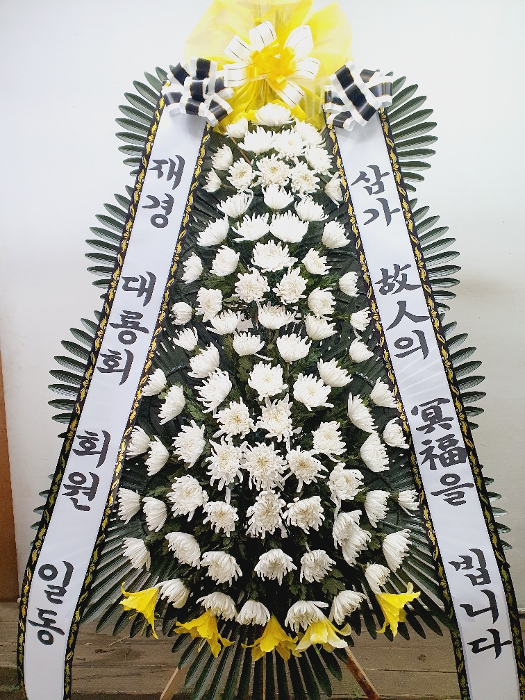 ST-FB162