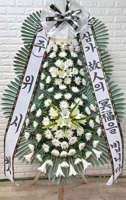 ST-FB226