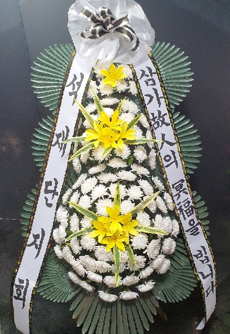 ST-FB226