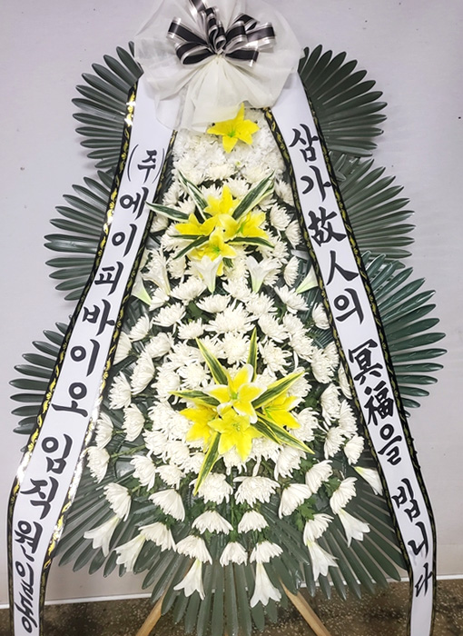 ST-FB226