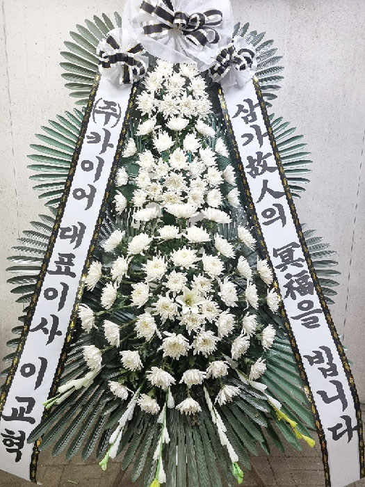ST-FB233