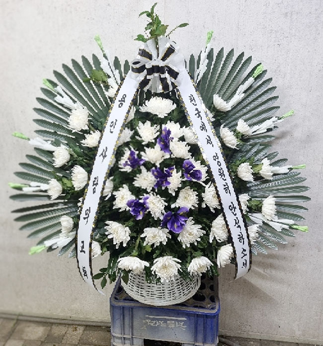 ST-FB255