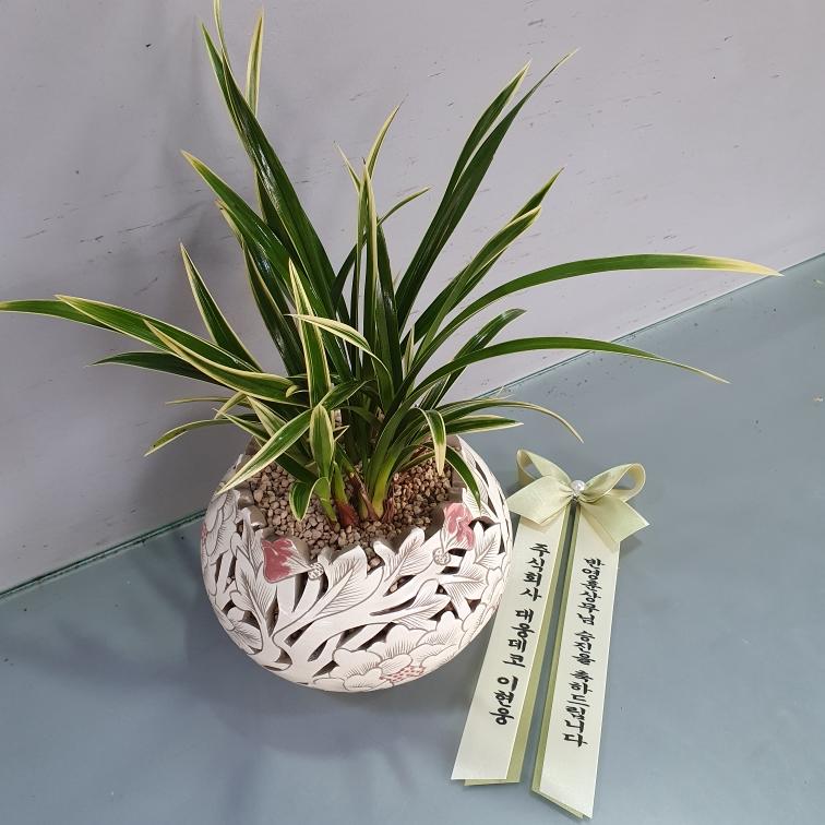 ST-E555