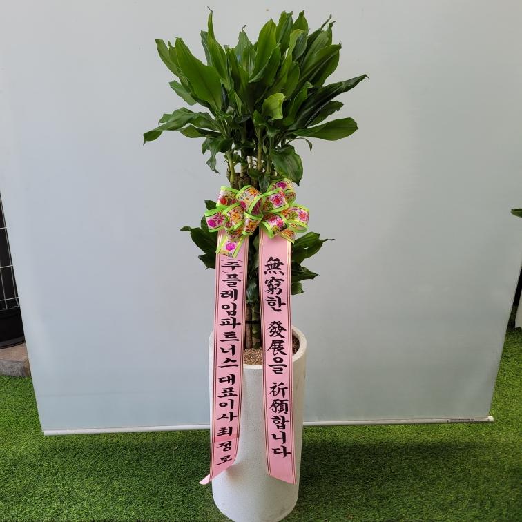 ST-D706