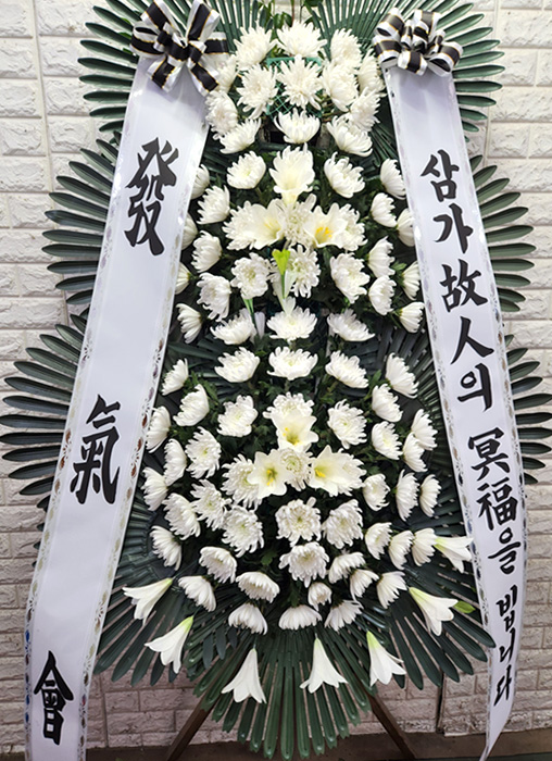 ST-FB226