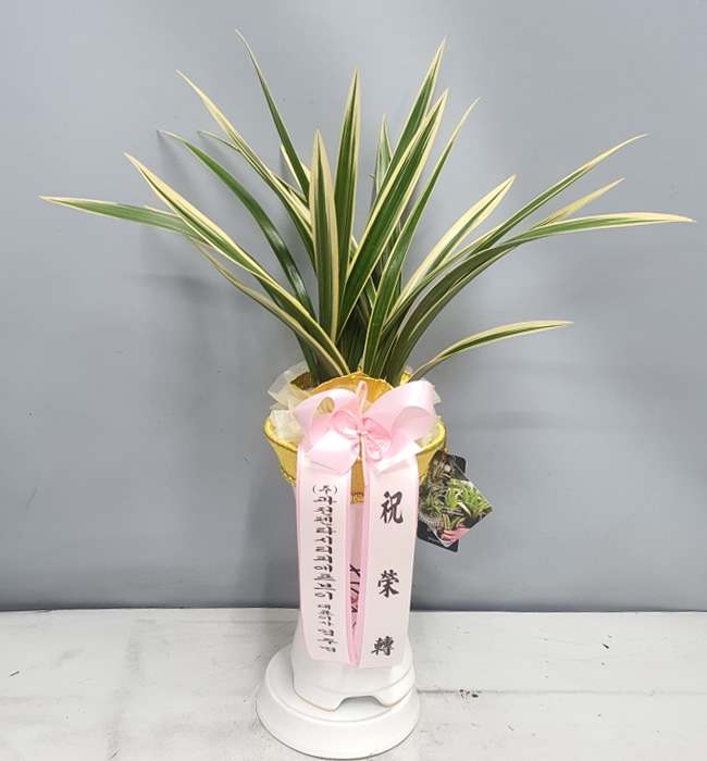 ST-E402