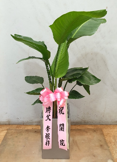 ST-D639