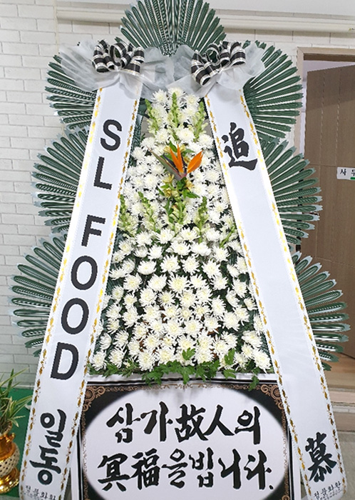 ST-FB226