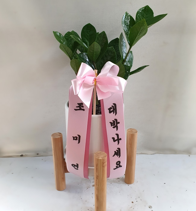 ST-D682