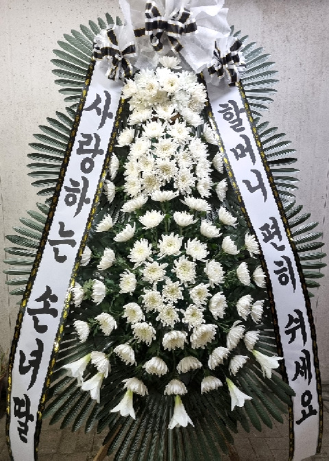 ST-FB233
