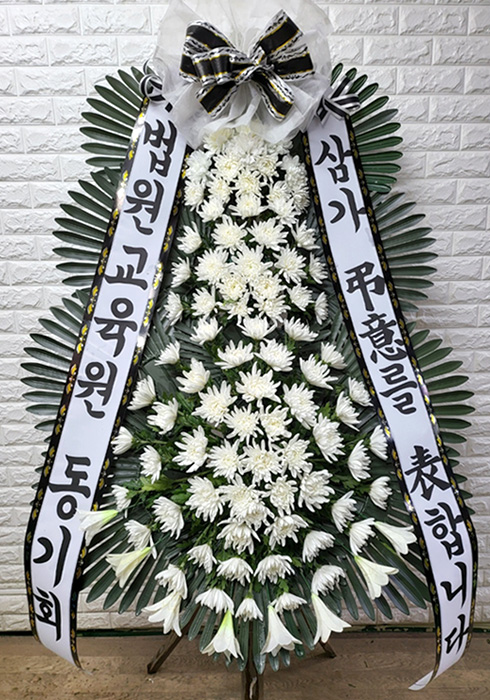 ST-FB233