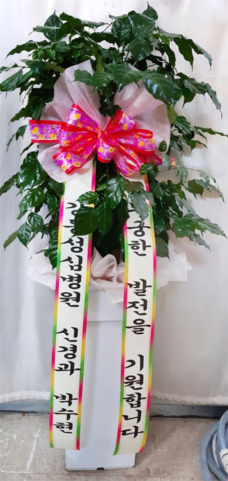 ST-FA193