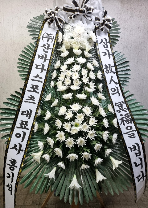 ST-FB233