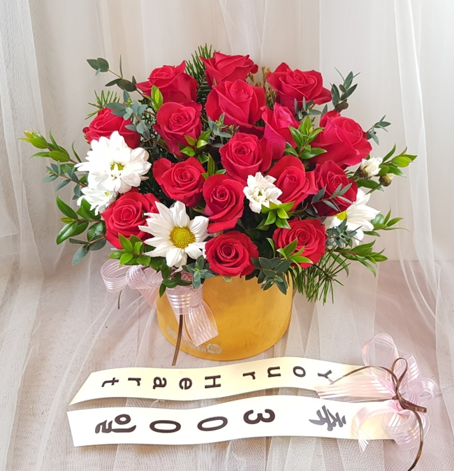 ST-B447