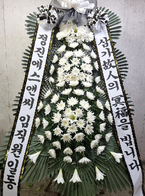 ST-FB226