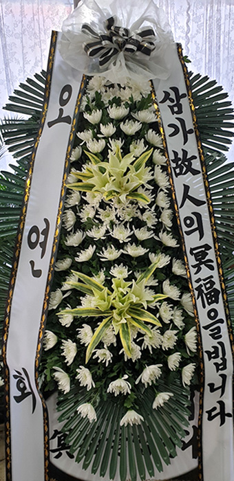 ST-FB233