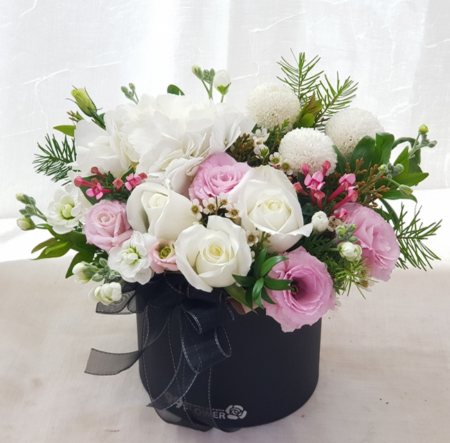 ST-B336