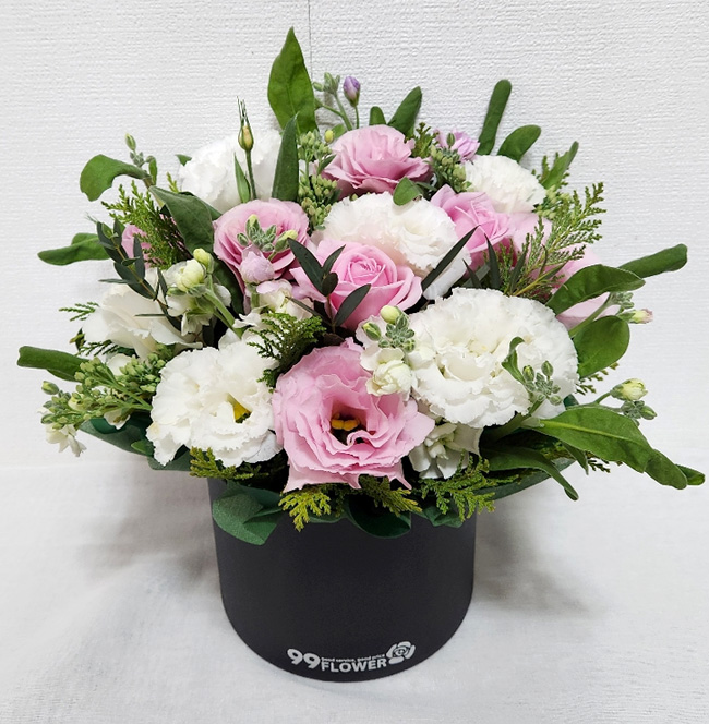 ST-B336