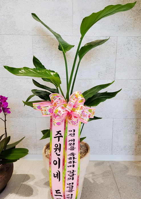 ST-D668