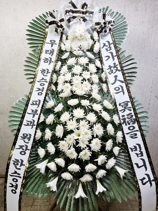 ST-FB226