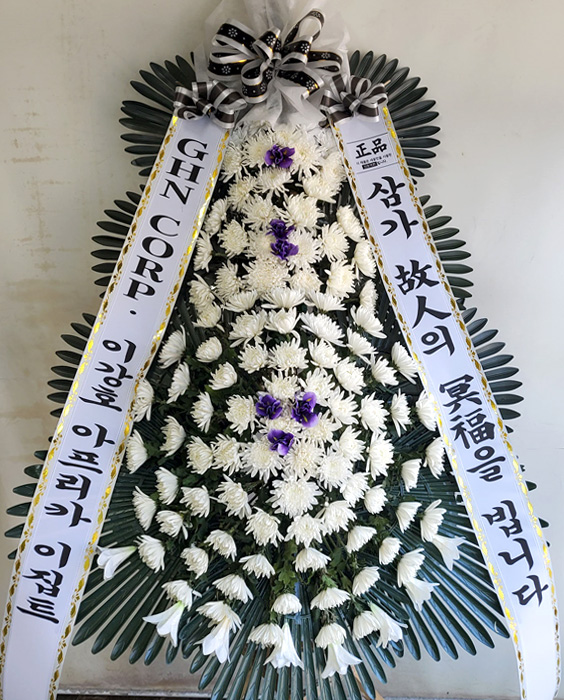 ST-FB230