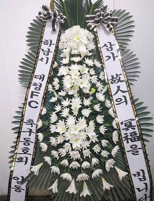 ST-FB226
