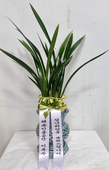 ST-E547