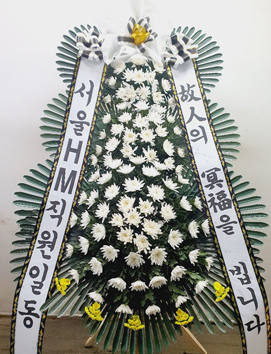 ST-FB233