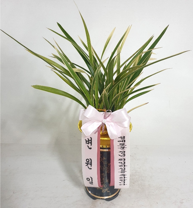 ST-E479