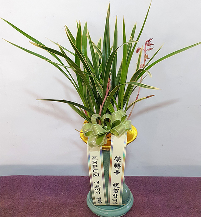 ST-E488