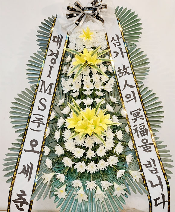 ST-FB154