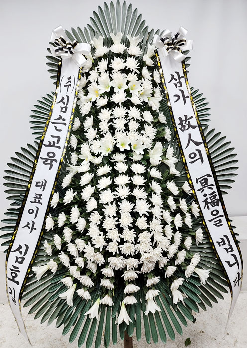 ST-FB233